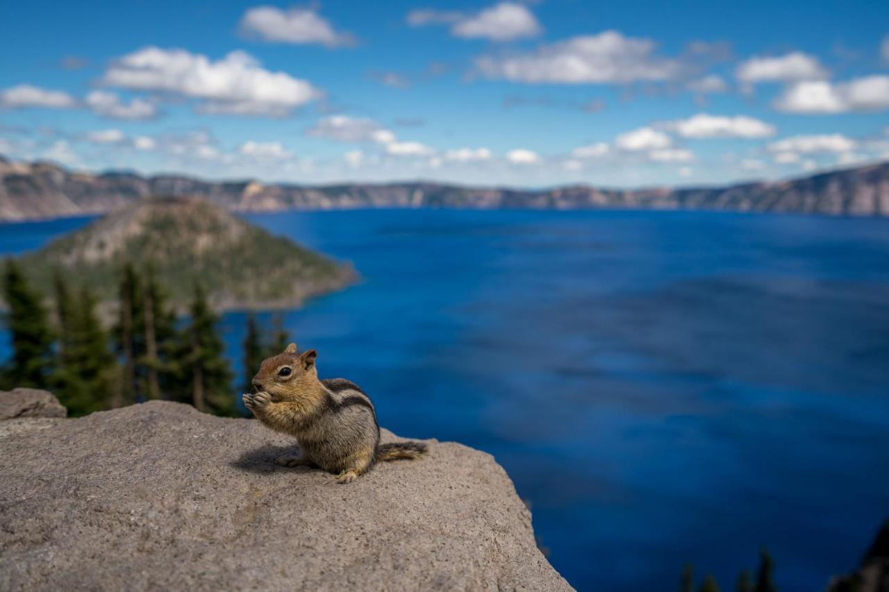 Crater Lake Resort Fort Klamath ภายนอก รูปภาพ